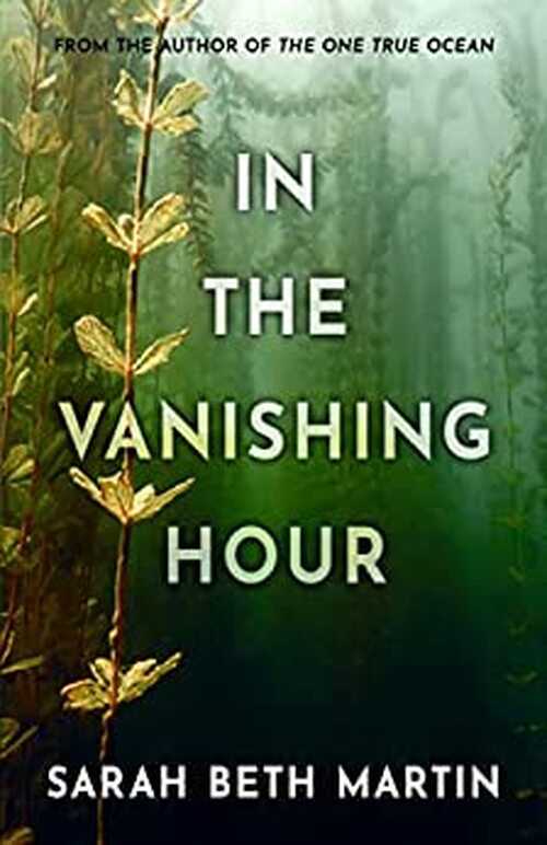 In the Vanishing Hour by Sarah Beth Martin