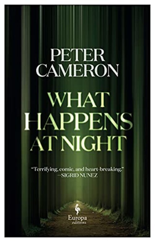 What Happens at Night by Peter Cameron