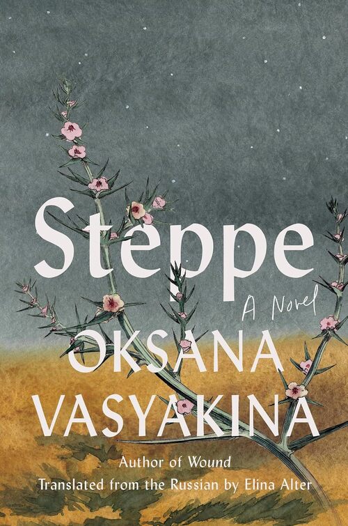 Steppe by Oksana Vasyakina