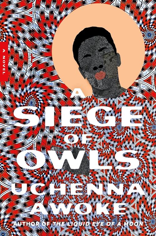 A Siege of Owls by Uchenna Awoke