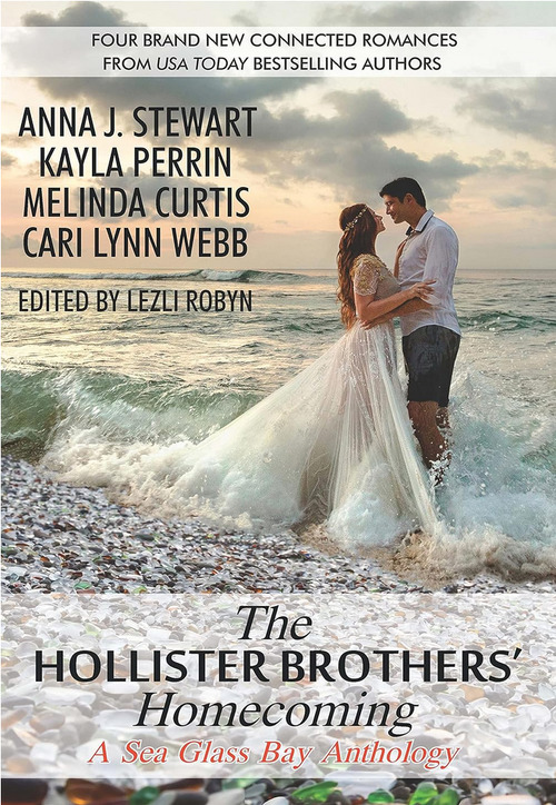The Hollister Brothers Homecoming by Melinda Curtis