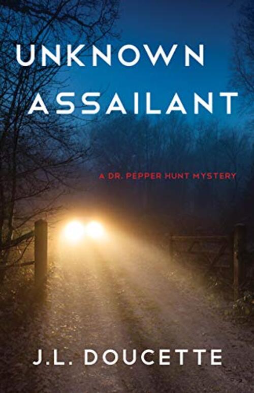 Unknown Assailant by J.L. Doucette