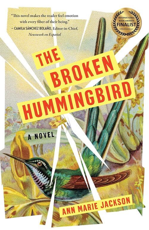 The Broken Hummingbird by Ann Marie Jackson