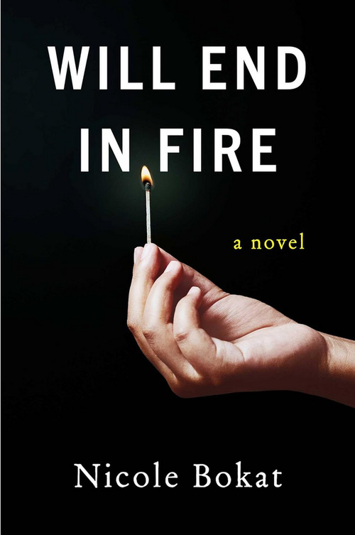 Will End in Fire by Nicole Bokat