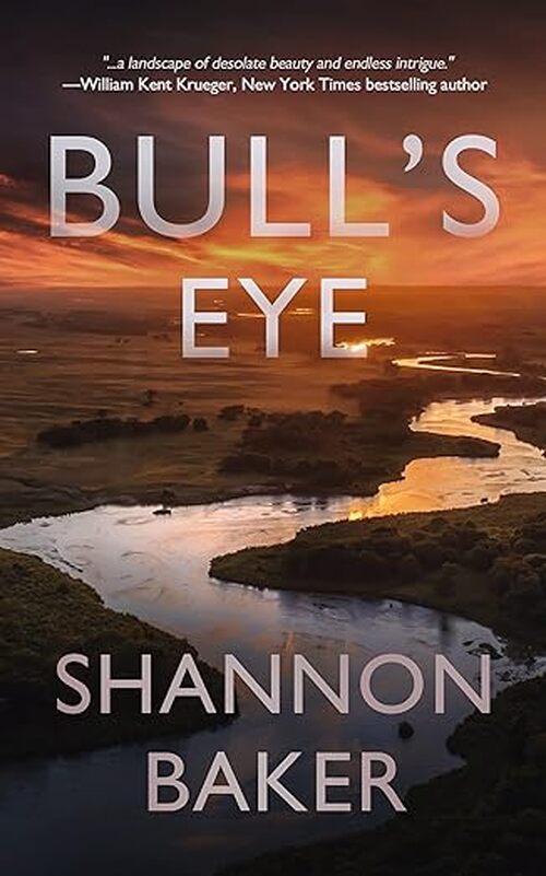 Bull's Eye by Shannon Baker