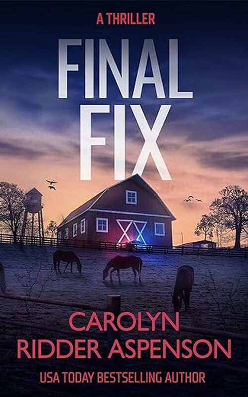 Final Fix by Carolyn Ridder Aspenson