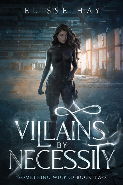 Villains By Necessity by Elisse Hay