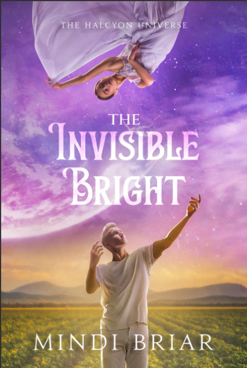 The Invisible Bright by Mindi Briar