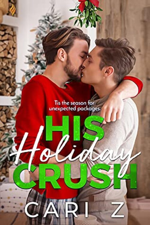 His Holiday Crush by Cari Z