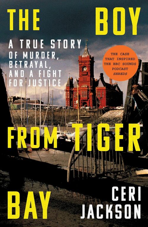 The Boy from Tiger Bay by Ceri Jackson
