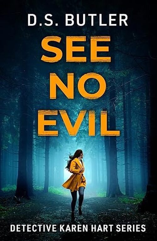See No Evil by D.S. Butler