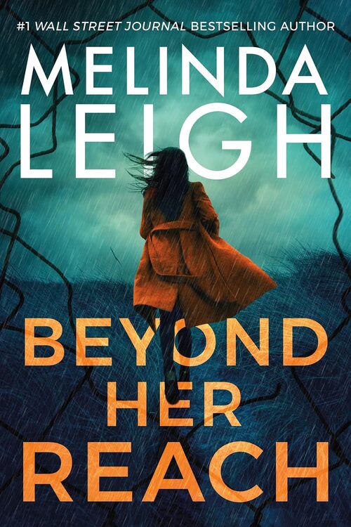 Beyond Her Reach by Melinda Leigh