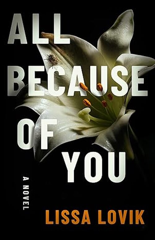 All Because of You by Lissa Lovik
