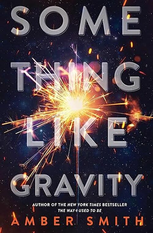 Something Like Gravity by Amber Smith