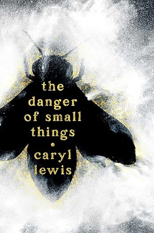 The Danger of Small Things by Caryl Lewis