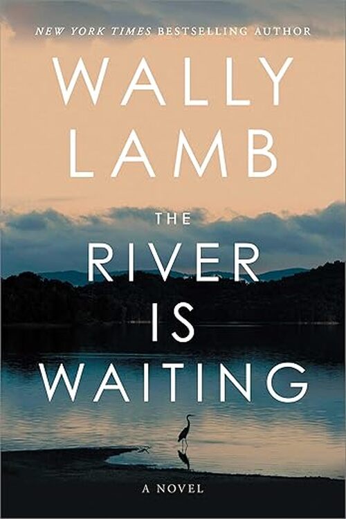 The River Is Waiting by Wally Lamb