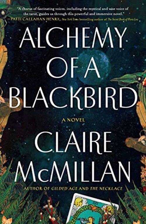 Alchemy Of A Blackbird by Claire McMillan