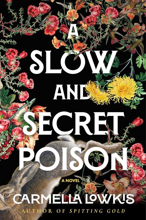 A Slow and Secret Poison by Carmella Lowkis