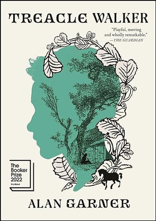 Treacle Walker by Alan Garner