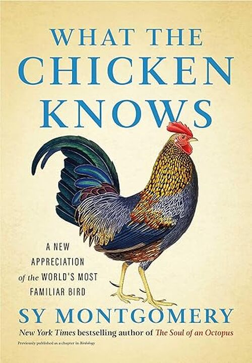 What the Chicken Knows by Sy Montgomery