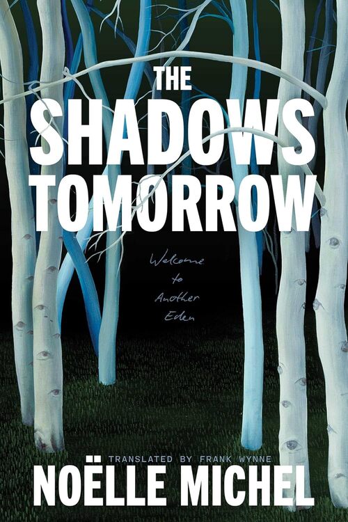 The Shadows Tomorrow by Noelle Michel