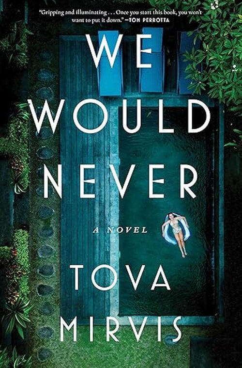 We Would Never by Tova Mirvis