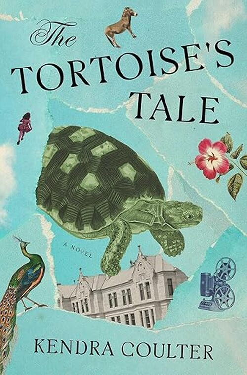 The Tortoise's Tale by Kendra Coulter