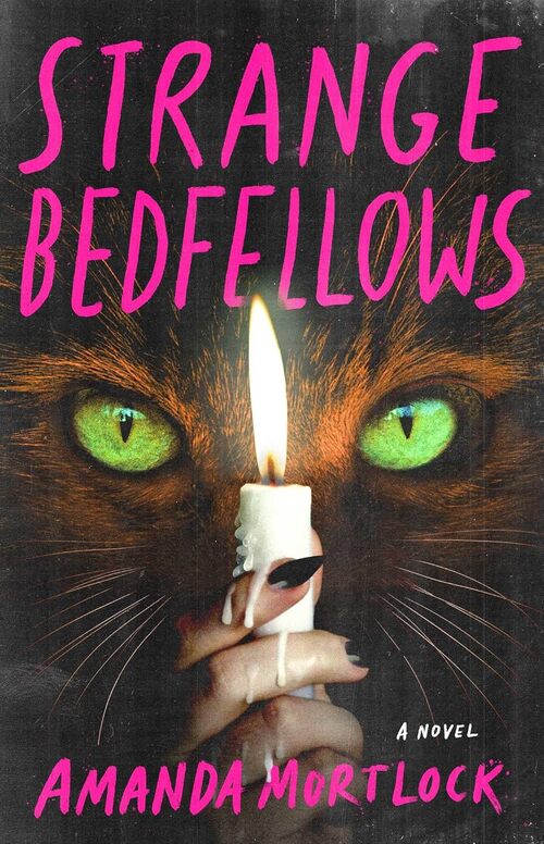 Strange Bedfellows by Amanda Mortlock