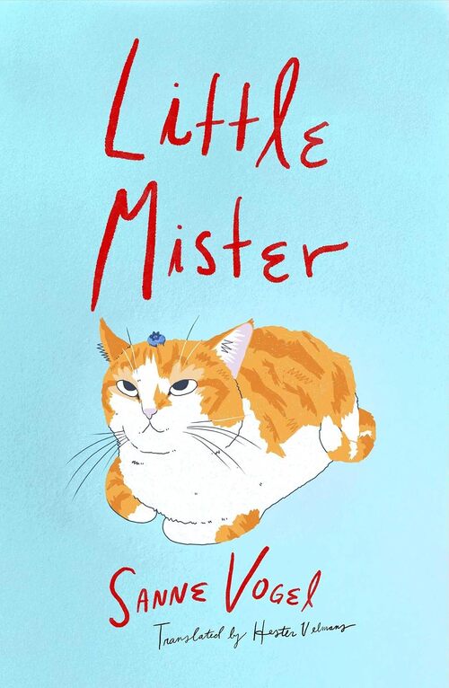 Little Mister