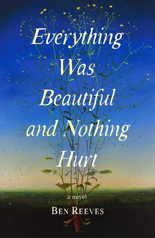 Everything Was Beautiful and Nothing Hurt by Ben Reeves