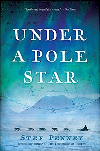 Under a Pole Star by Stef Penney
