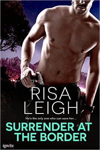 Surrender at the Border by Risa Leigh