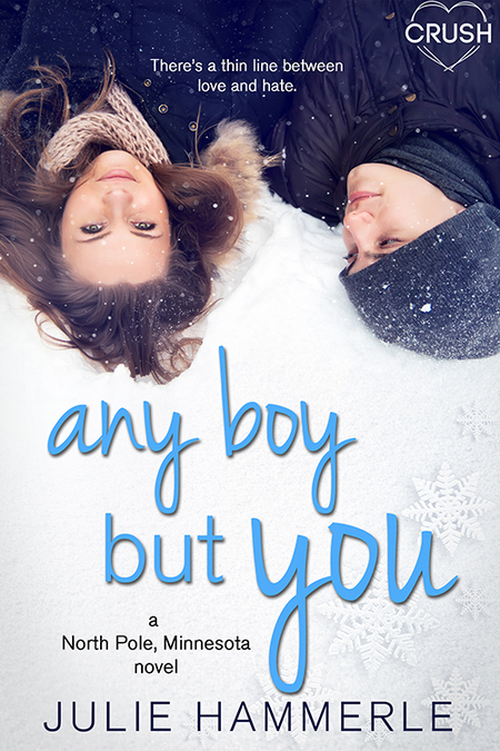 Any Boy But You by Julie Hammerle