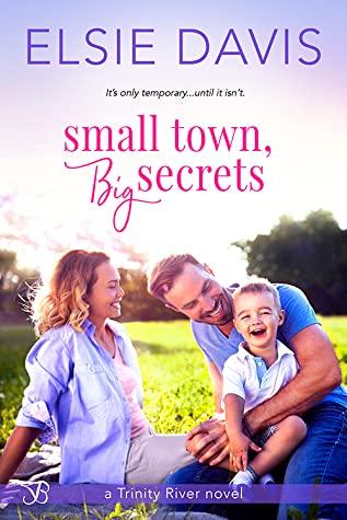 Small Town, Big Secrets by Elsie Davis