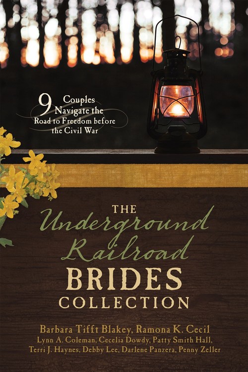 The Underground Railroad Brides Collection by Terri J. Haynes