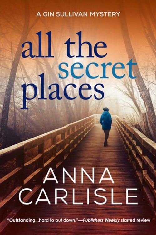 All the Secret Places by Anna Carlisle
