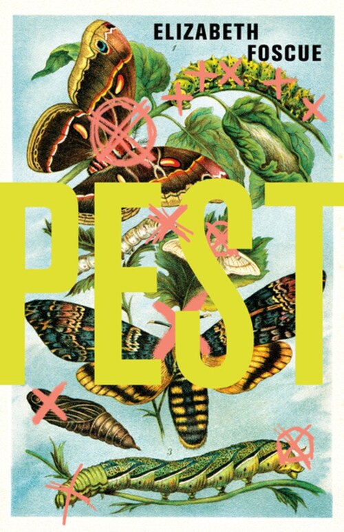 Pest by Elizabeth Foscue