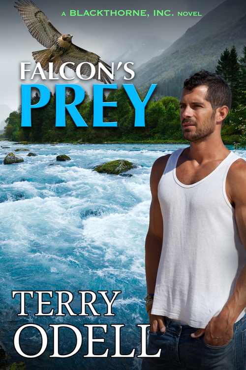 Falcon's Prey by Terry Odell