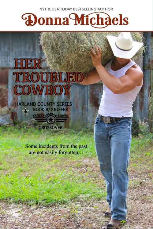 Her Troubled Cowboy by Donna Michaels