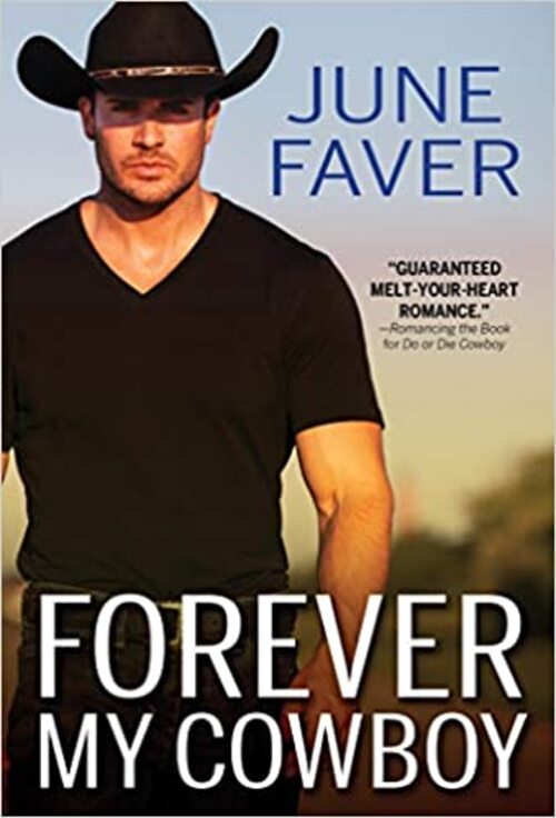 What to Do with a Cowboy by June Faver