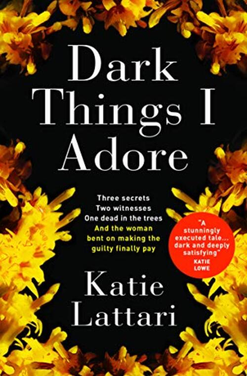 Dark Things I Adore by Katie Lattari