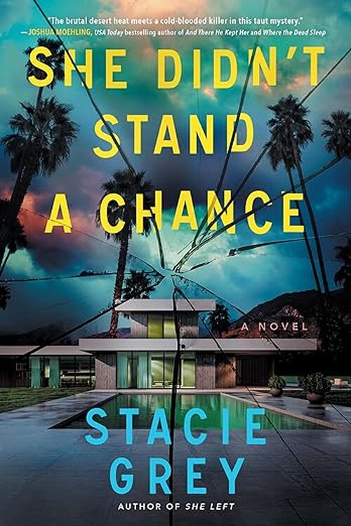 She Didn't Stand a Chance by Stacie Grey