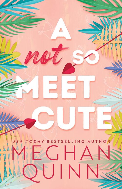 A Not So Meet Cute by Meghan Quinn