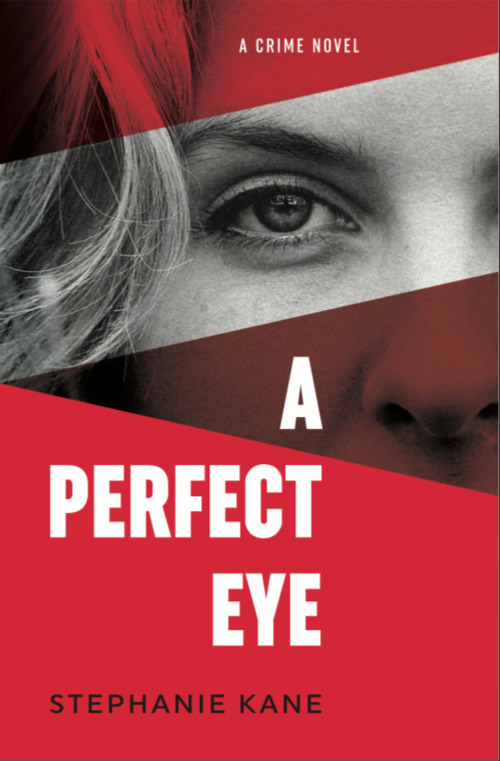 A Perfect Eye by Stephanie Kane