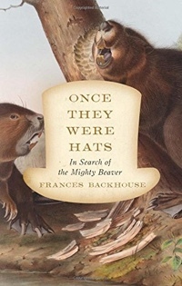 Once They Were Hats: In Search Of The Mighty Beaver by Frances Backhouse