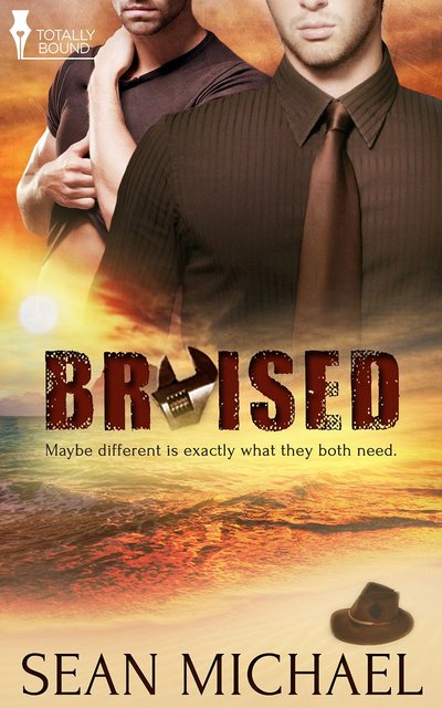 Bruised by Sean Michael