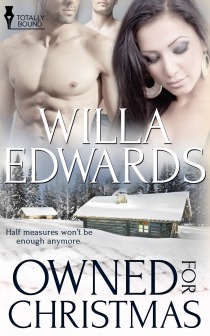 Owned for Christmas by Willa Edwards