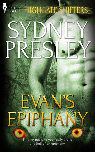 Evan?s Epiphany by Sydney Presley