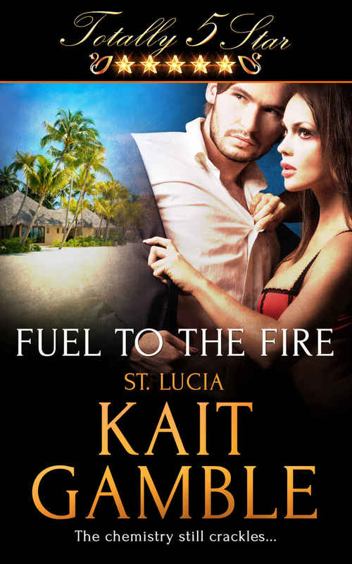 Fuel to the Fire by Kait Gamble