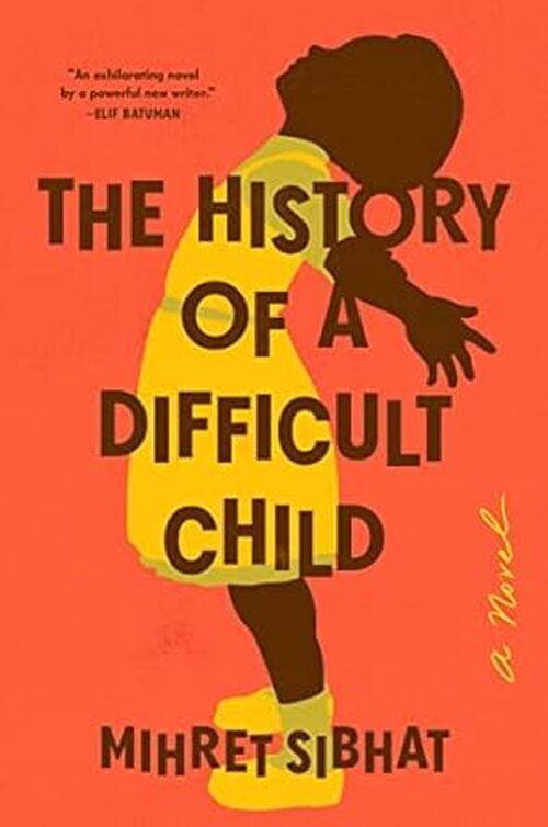 The History of a Difficult Child by Mihret Sibhat